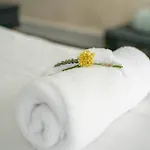 Domaine Celadon 3*