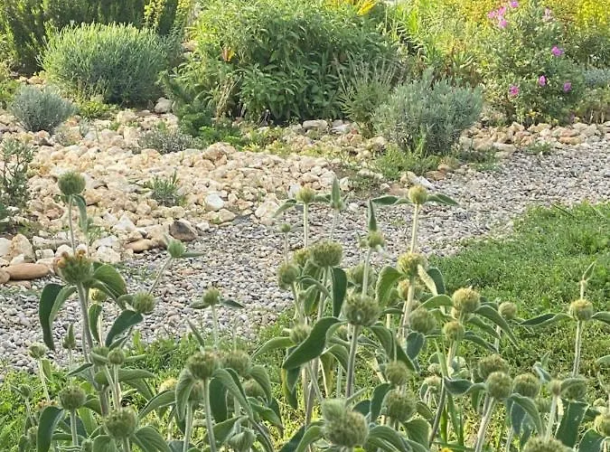 Penzion Domaine Celadon